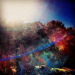 Pete Pullano - @petepullano - Instagram