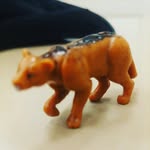 @peterpuma.foto - Instagram
