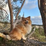Peter Qualm - @peter.qualm1962 - Instagram