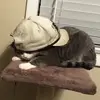 Peter Qualman - @peter.qualman - TikTok