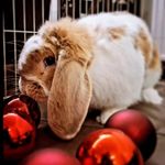 Peter Quill - @adventuresofpeterquill - Instagram