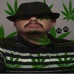 Peter Quinonez - @peedogg13 - Instagram
