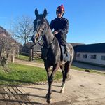 Peter Radcliffe - @peter_rad1 - Instagram