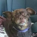 Peter Rader - @rader.peter - Instagram