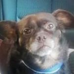 Peter Rader - @rader_peter - Instagram