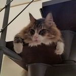 Peter Radermacher - @peter.radermacher.7 - Instagram