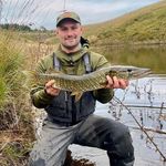 Peter Radford - @peter_t._radford - Instagram