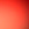 peter raia - @bob12345567891 - TikTok