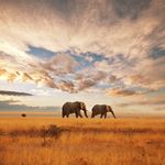 Peter Ransom | Self-leadership Coach - @soulsafaricoaching - Instagram