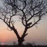 Peter Ransome - @peter.ransome.104 - Instagram