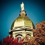 Peter Rausch - @ahs_coach - Instagram