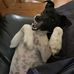 Peter Redman - Facebook