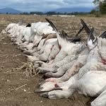 Peter Reese - @hiddenhunt8352 - Instagram