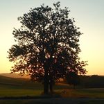 Peter Reinhardt - @reinhardtsalach - Instagram