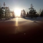 Peter van Rensch - @petervanrensch - Instagram