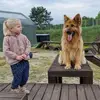 rettigpeter - @rettigpeter - TikTok