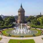 PiVi - @peter_vom_rhein - Instagram
