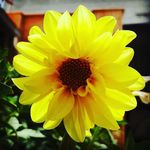 Peter Rhoads - @peterrhoads4321 - Instagram