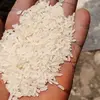 peter ANARI - @peterrice - TikTok