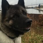 Peter Rice - @peter.rice.9400984 - Instagram