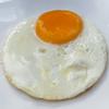 Peter De ridder - @peter.de.ridder - TikTok