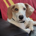 Peter Ridder - @rockridder - Instagram