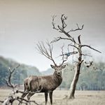 PeterRiddle - @peterriddle3 - Instagram