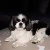 Peter Rieke-ziegler - @peter.riekeziegle - TikTok