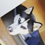 peter_rigault - @peter_rigault - Instagram