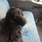 Peter Rimmer - @peter.rimmer.12532 - Instagram