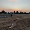 Peter Roberto - @peterroberto07 - TikTok