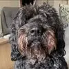 Peter Lutz Robins - @peter.lutz.robins - TikTok