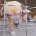 Peter Rockus - @peter.rockus - Instagram