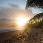 Peter-paul Rohde - @peterpaulrohde - Instagram