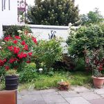 Peter Rohde - @peterrohde229 - Instagram