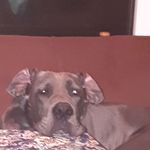 Peter Rohde - @peter.rohde.946 - Instagram