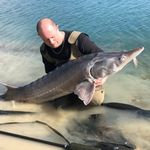 Peter Rohde Hansen - @p_hansen34 - Instagram