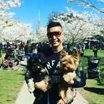 Peter_Rome - @romepeter764 - Instagram