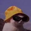 user8813255418940 - @peter.romer06 - TikTok