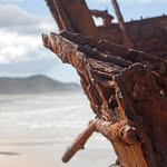 PETER RONEY - @petersroney - Instagram