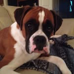 Peter Roper - @roper_peter - Instagram