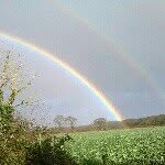 Peter Roper-Curzon - @peterropercurzon - Instagram