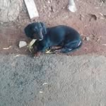 Peter Rosario - @peter.rosario.3194 - Instagram