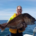 Peter Rosser - @peter.rosser.794 - Instagram