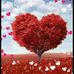 Roman Peter - Facebook