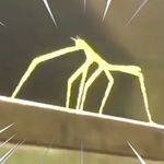 Peter - @peter_roundhouse - Instagram