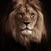 Peter Rubio - Facebook