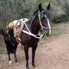 peter rubio - @peter.rubio - TikTok