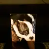 Peter Rutter325 - @peterrutter0 - TikTok