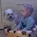 Peter Rutter - @peterrutter1972 - Instagram